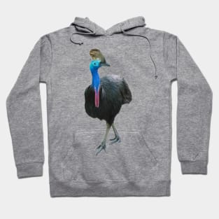 Cassowary Hoodie